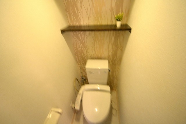 ビュラ田園調布202号室 トイレ (1)