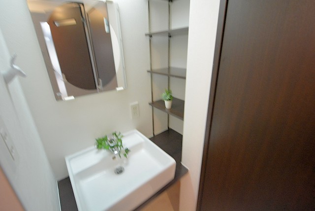 ビュラ田園調布202号室 洗面