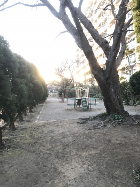 馬事公苑前ハイム 公園