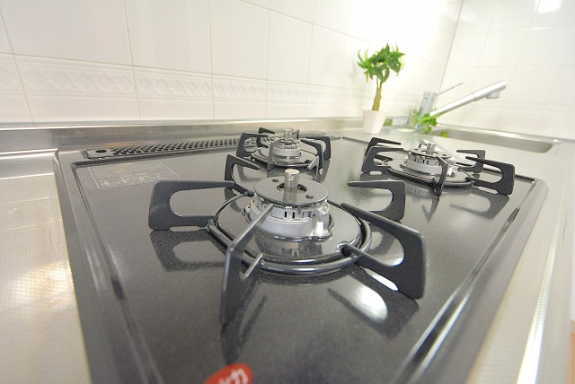 ビュラ田園調布202号室 キッチン