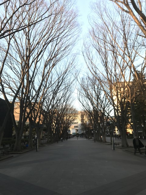 馬事公苑前ハイム 公園２