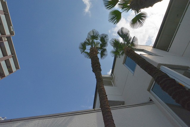 クレール桜新町外観