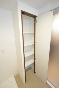 マイキャッスル中目黒Ⅲ 洗面室