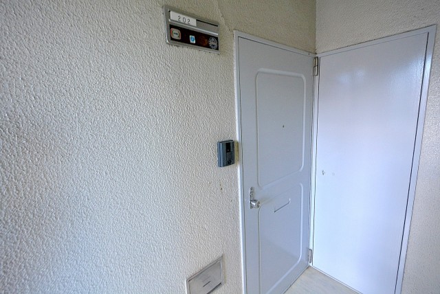 ビュラ田園調布202号室 ドア