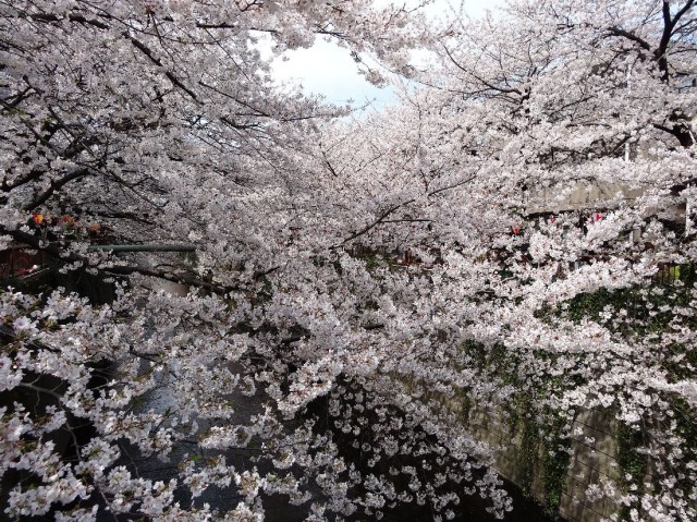 ファミールヒルズ目黒東山