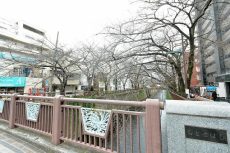 日神プラザ中目黒　周辺