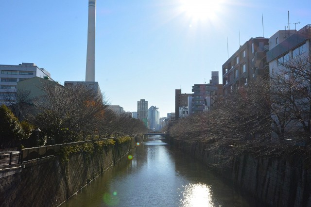 マイキャッスル中目黒Ⅲ