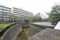 ハイネス中目黒