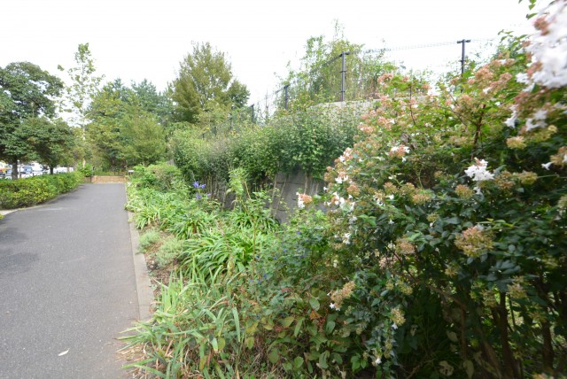 マイキャッスル中目黒Ⅲ