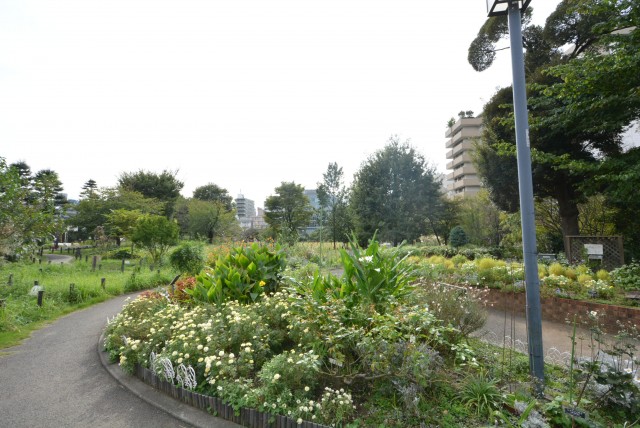 マイキャッスル中目黒Ⅲ