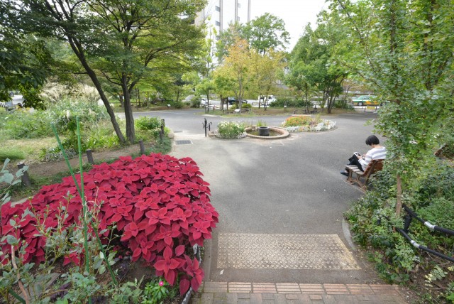 マイキャッスル中目黒Ⅲ