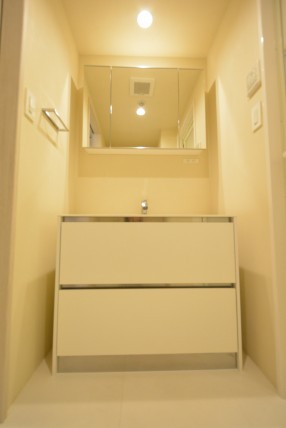 ファミールヒルズ目黒東山　独立洗面台