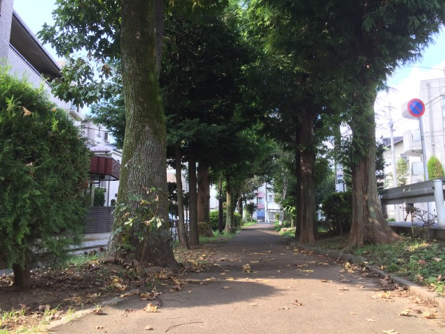 経堂コンド　周辺環境