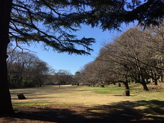 サンフォレスト砧　周辺環境