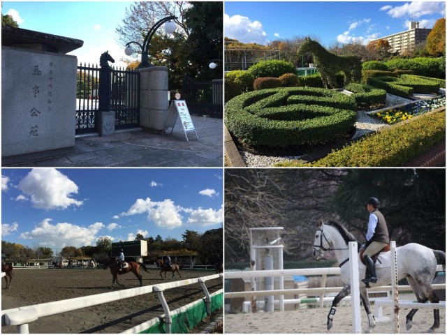 経堂コンド　周辺環境