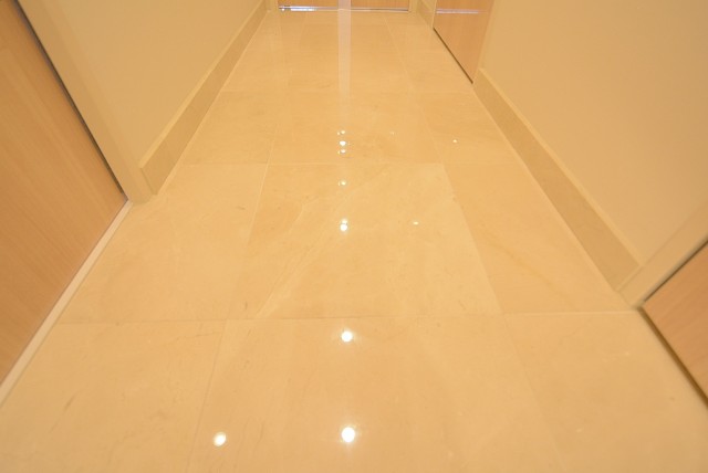 ライオンズマンション桜上水 玄関