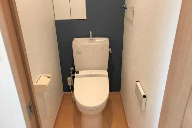 都立大コーポラス (48)トイレ