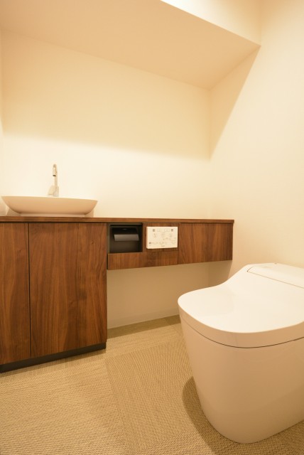 マイキャッスル中目黒Ⅲ トイレ