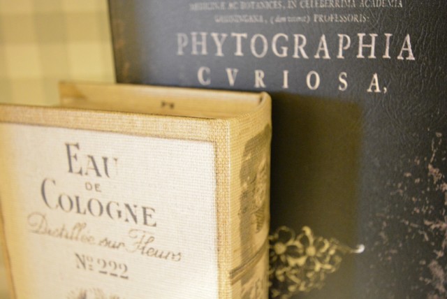 桜丘フラワーホーム 玄関