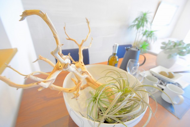 エンゼルハイム馬事公苑 廊下