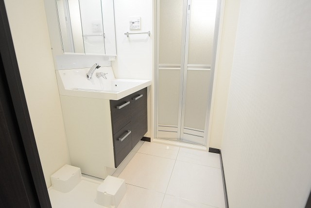 秀和東荻窪レジデンス 洗面