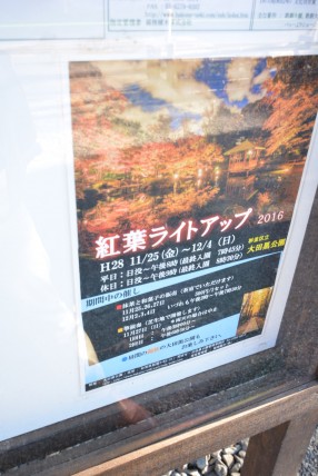 秀和東荻窪レジデンス　周辺環境