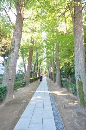 ノワール荻窪　周辺環境