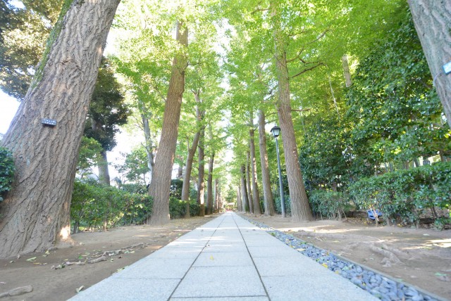 ノワール荻窪　周辺環境