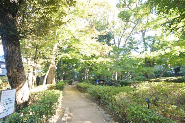 秀和東荻窪レジデンス　周辺環境