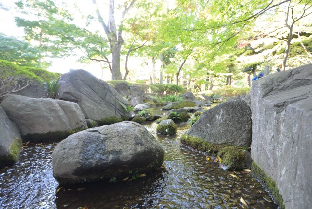 ノワール荻窪　周辺環境