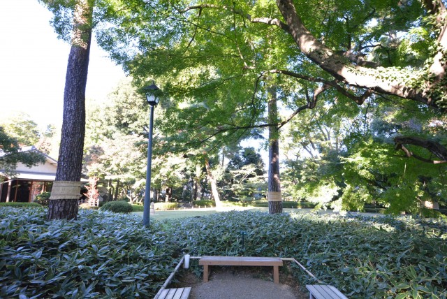 秀和東荻窪レジデンス　周辺環境