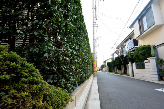 ル・アピカ成城　植栽