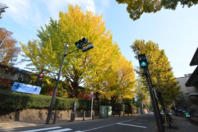 ル・アピカ成城　周辺環境