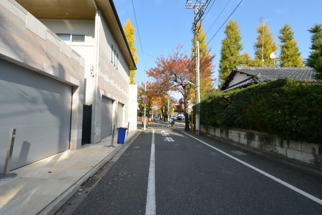 ル・アピカ成城　周辺環境