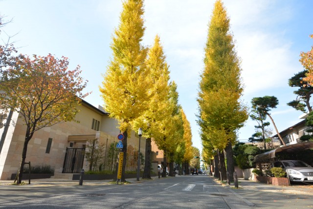 ル・アピカ成城　周辺環境