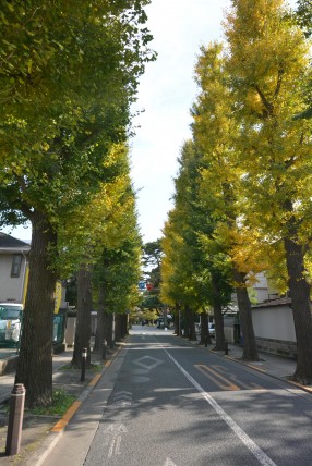 ル・アピカ成城　周辺環境