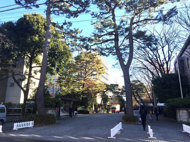 ル・アピカ成城　周辺環境