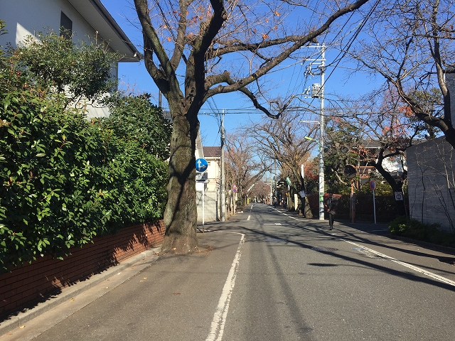 ル・アピカ成城　周辺環境