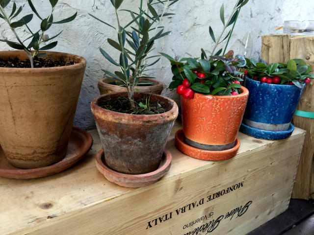 藤和千歳台ホームズ　周辺環境