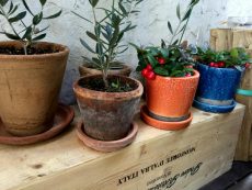 エルシオン上祖師谷　周辺環境