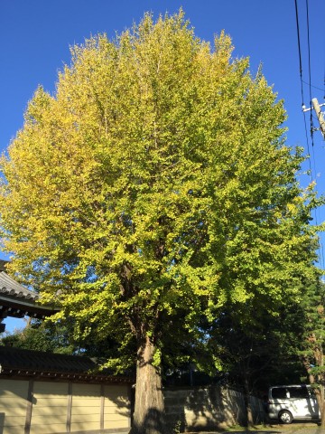 藤和千歳台ホームズ　周辺環境