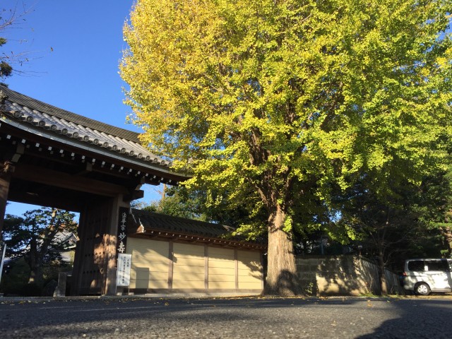 ハイラーク芦花公園　周辺環境