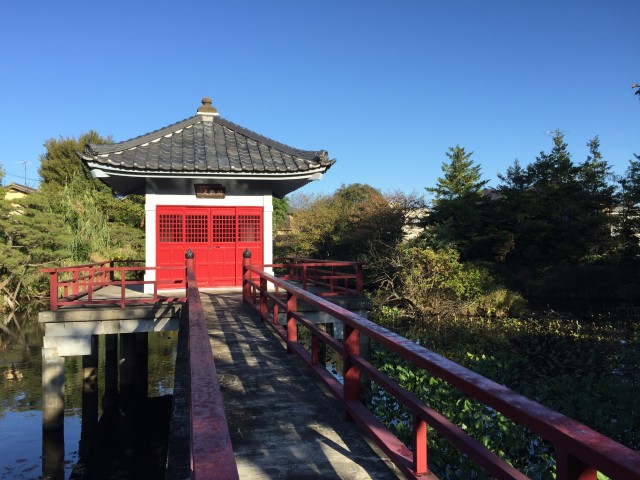 ハイラーク芦花公園　周辺環境