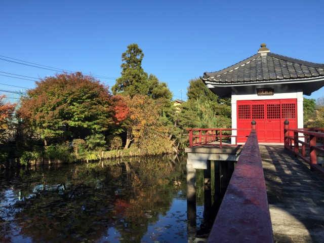 エルシオン上祖師谷　周辺環境