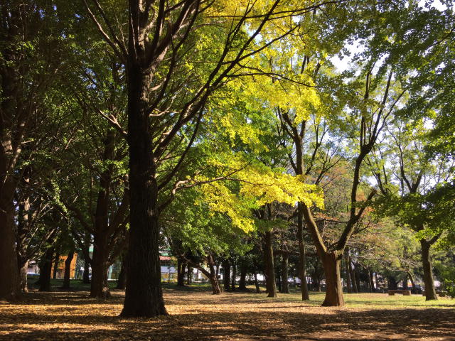 ハイラーク芦花公園　周辺環境