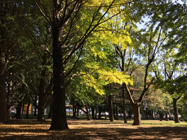 藤和千歳台ホームズ　周辺環境