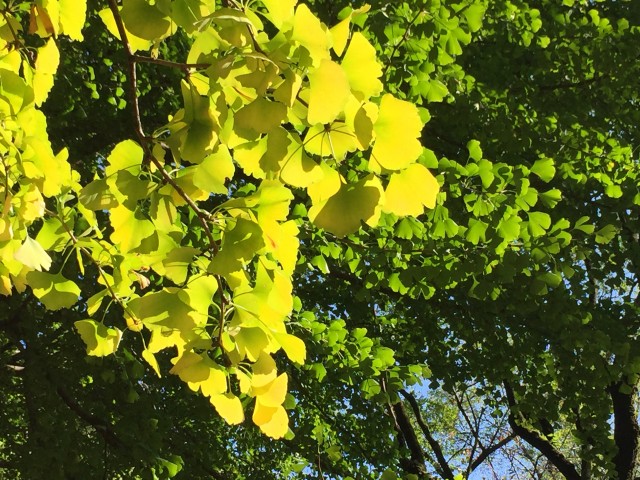 ハイラーク芦花公園　周辺環境
