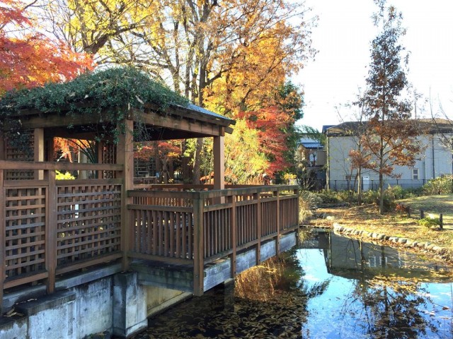 ボヌール荻窪　周辺環境