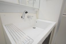 秀和東荻窪レジデンス 洗面