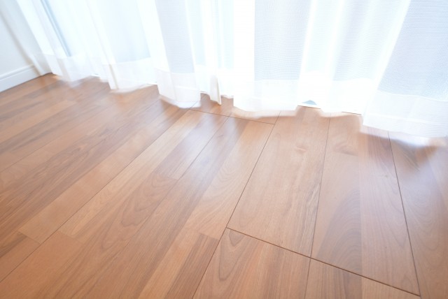 築地永谷コーポラス LDK